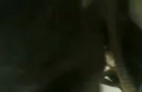 Казашка сосет большой елдак перед камерой мобилы