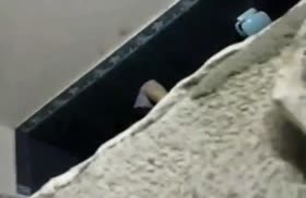 Киргизская парочка трахается в общественном туалете