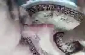 Девушка отлично выполняет минет на коленках